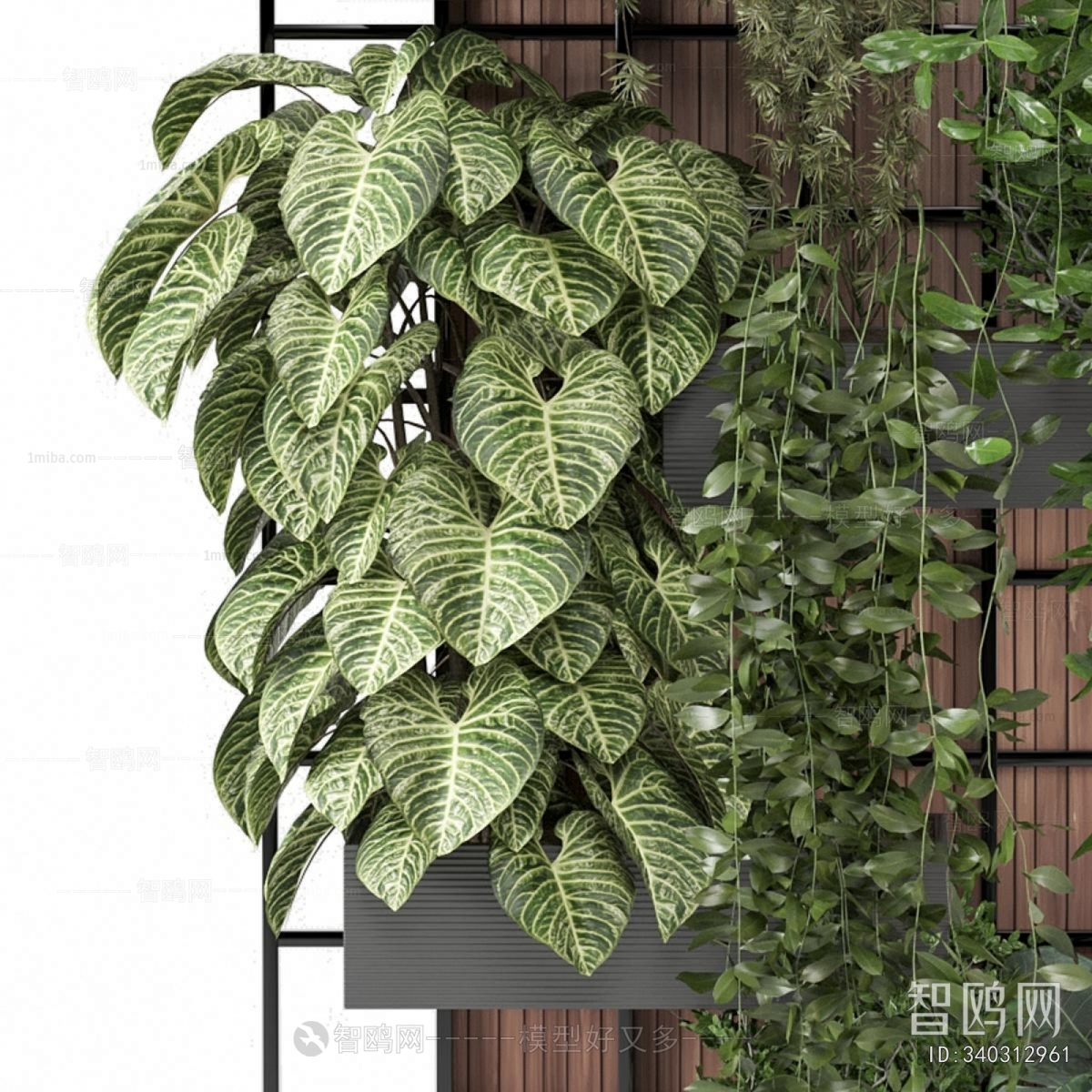 Modern Potted Green Plant