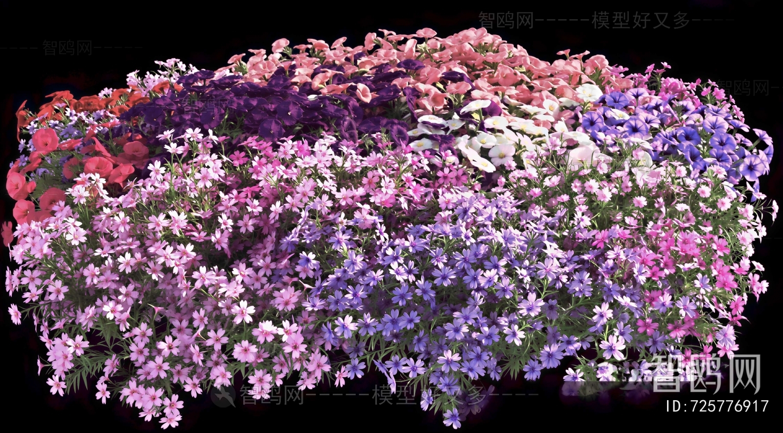 Modern Flowers