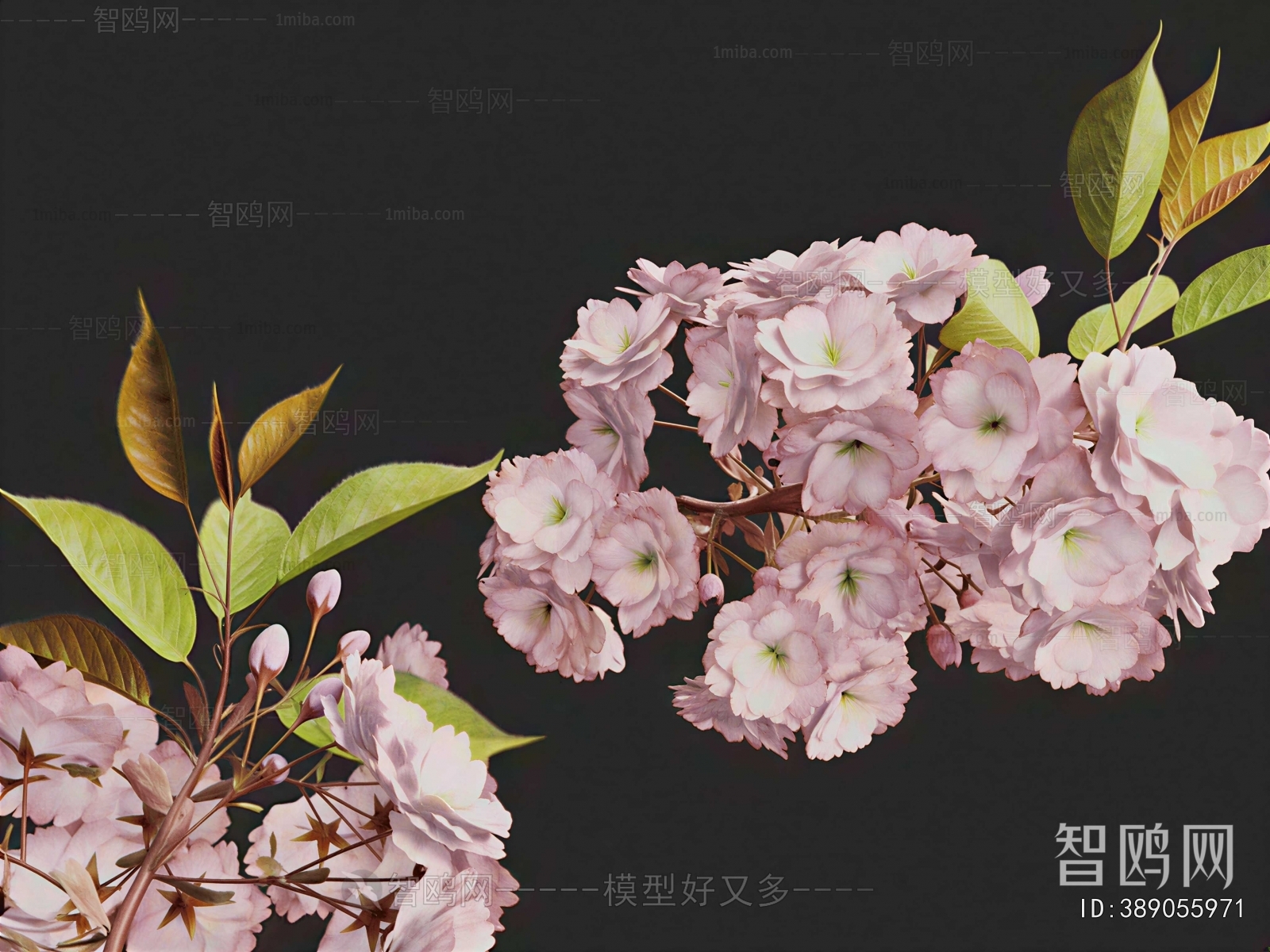 Modern Flowers And Grass