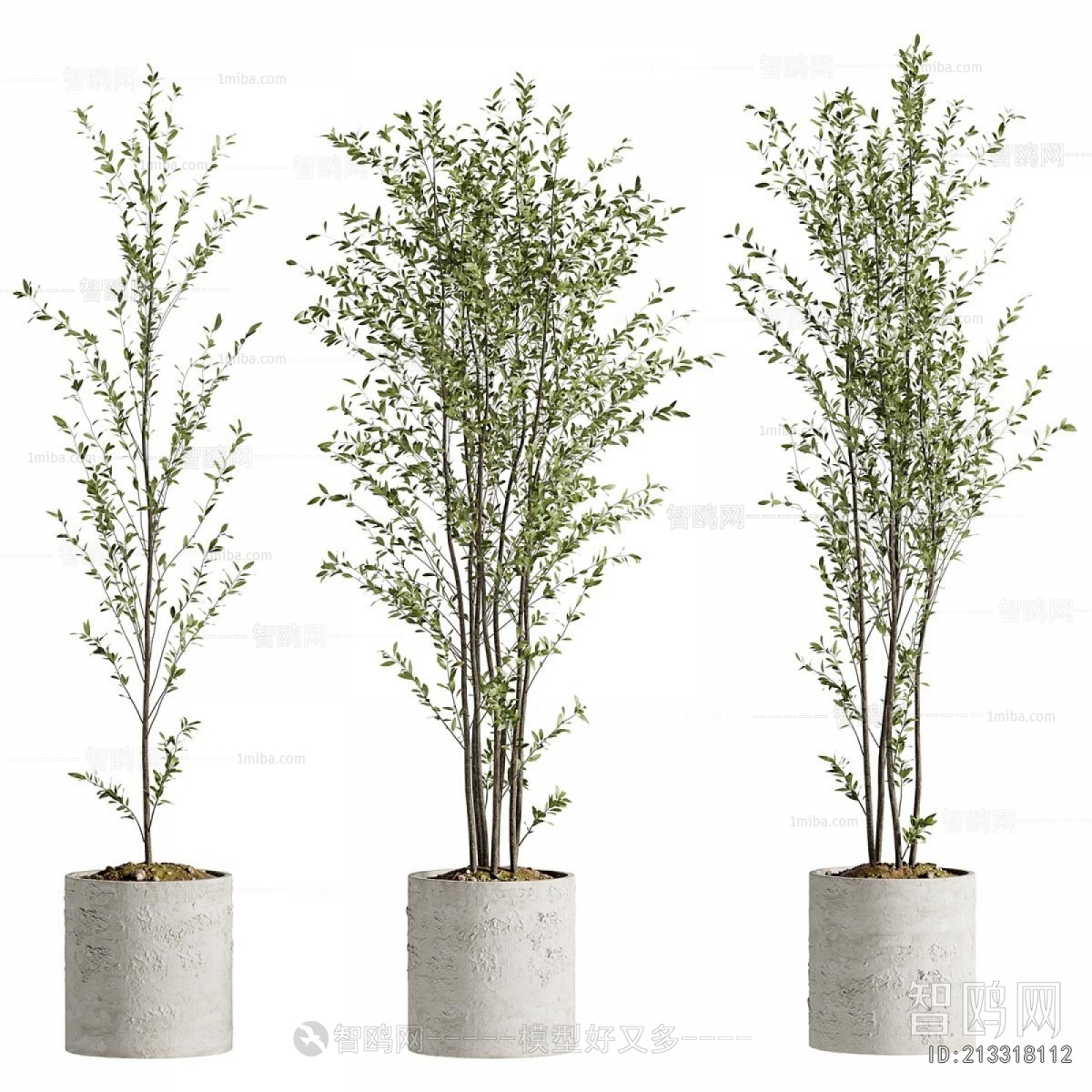 Modern Ground Green Plant Potted Plants