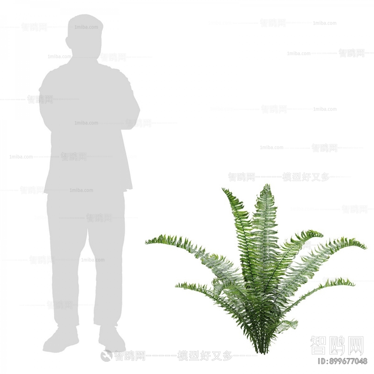 Modern Shrubbery