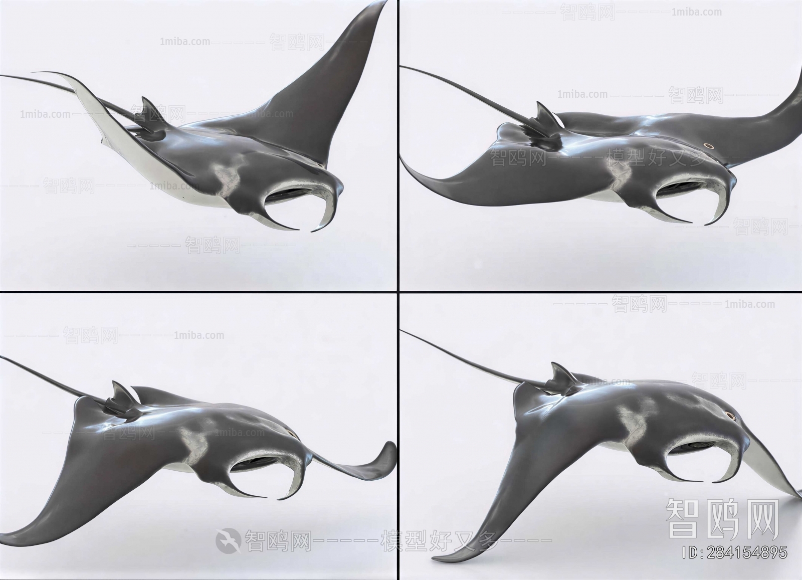 Modern Aquatic Animals