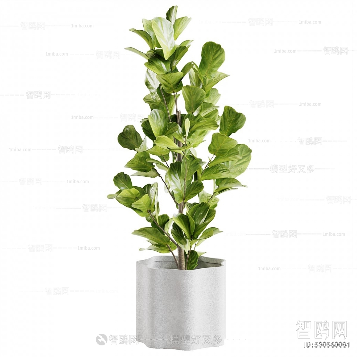 Modern Ground Green Plant Potted Plants