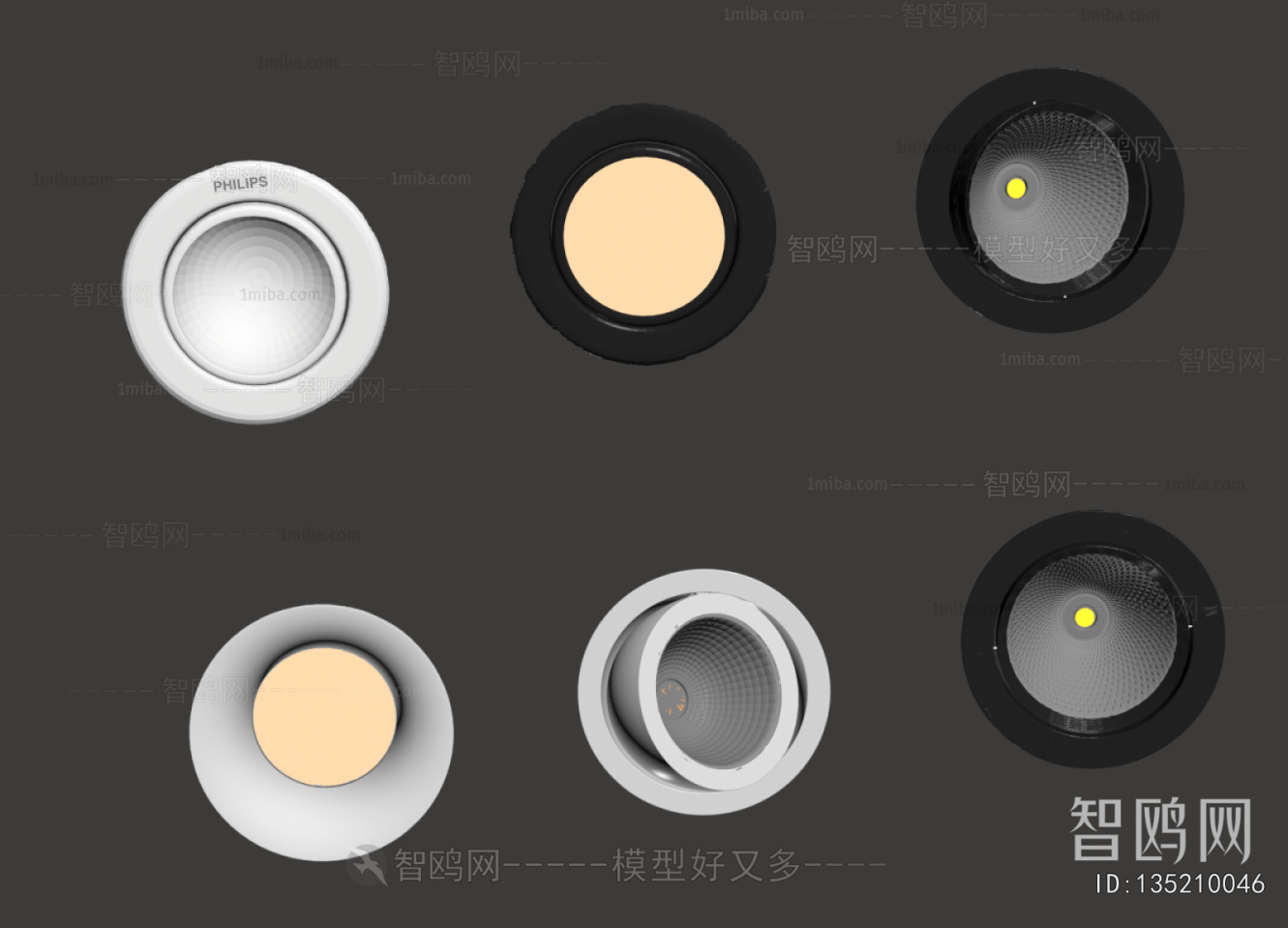 Modern Downlight Spot Light