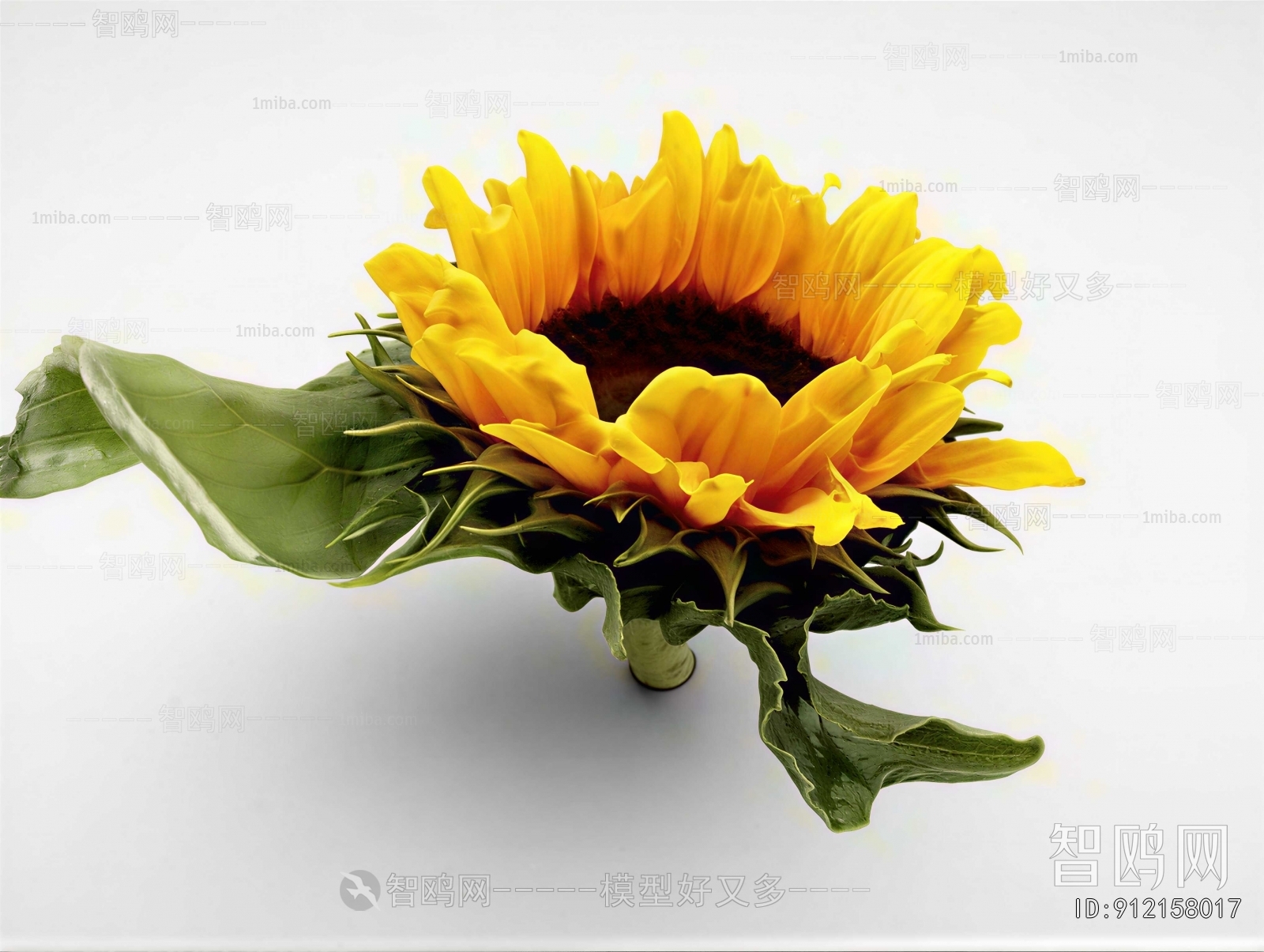 Modern Flowers