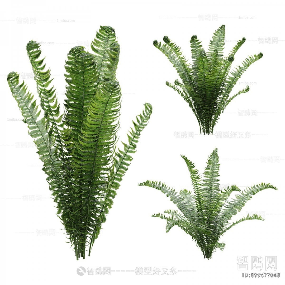 Modern Shrubbery