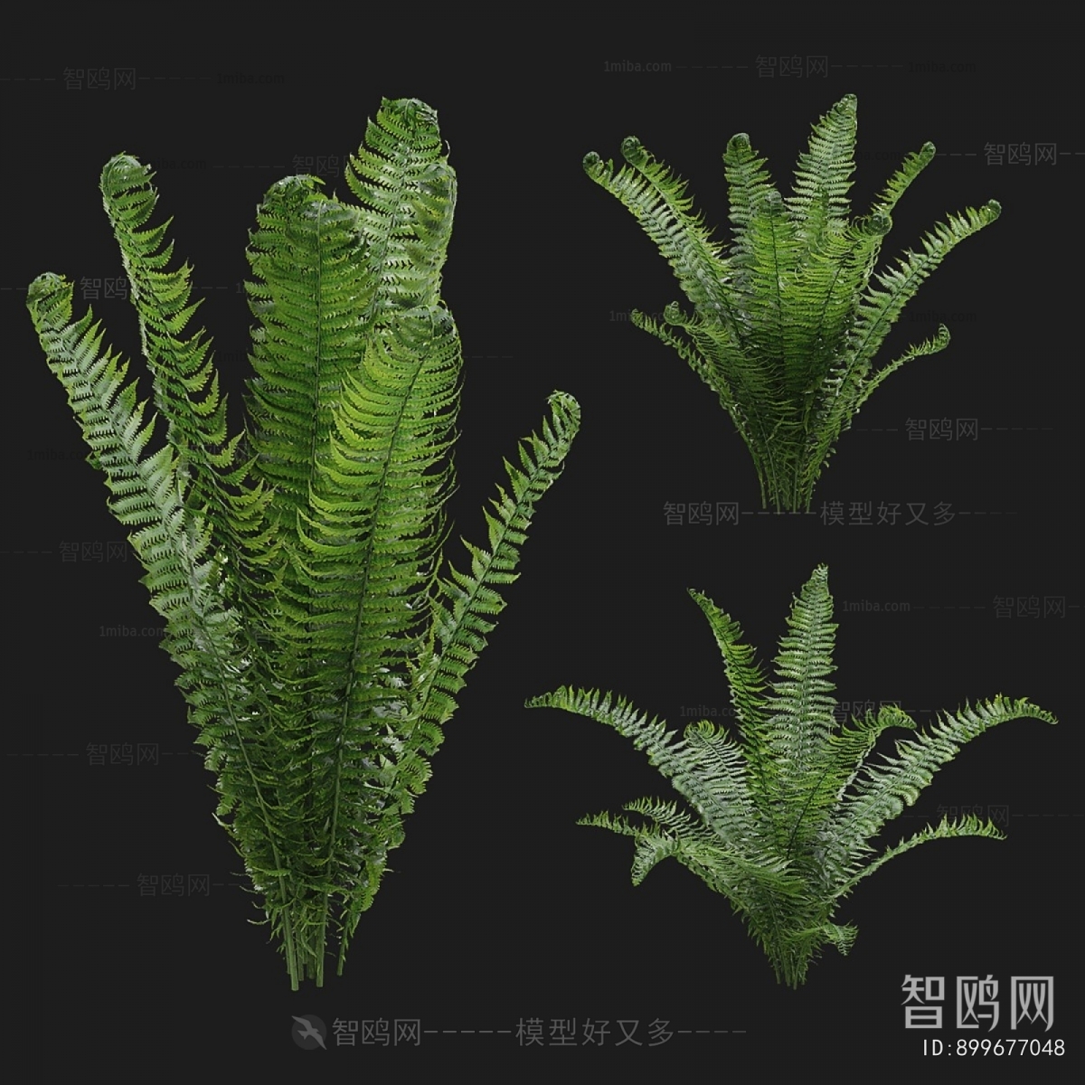 Modern Shrubbery