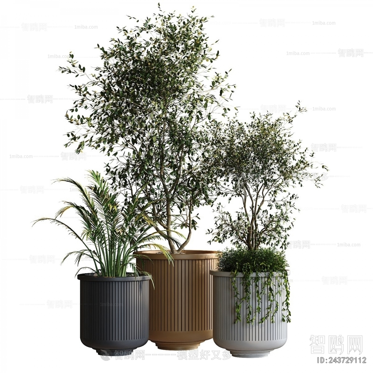 Modern Ground Green Plant Potted Plants