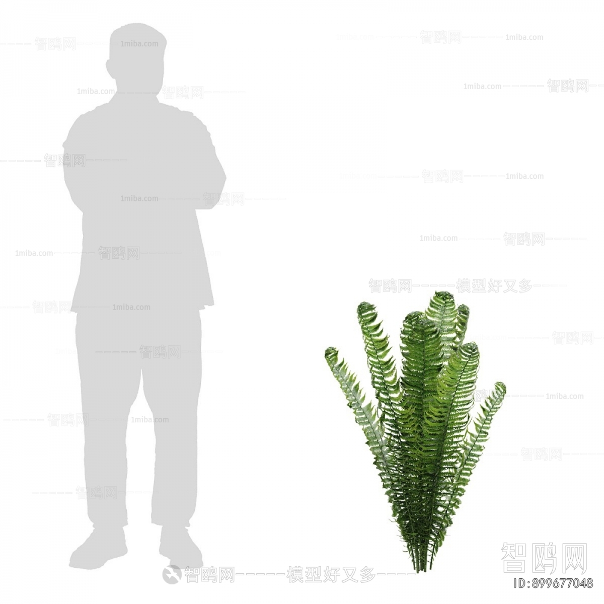 Modern Shrubbery