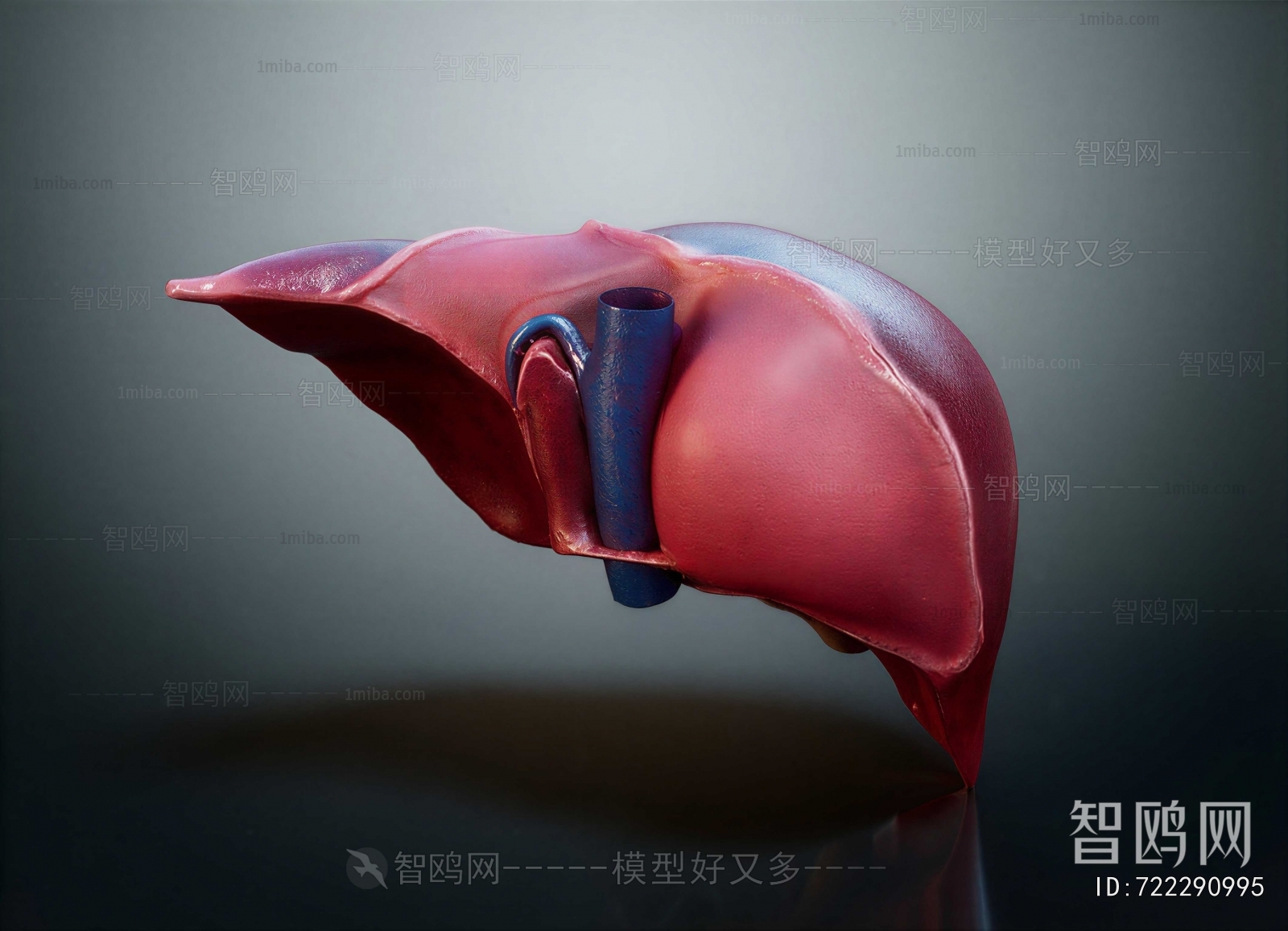 Modern Medical Equipment