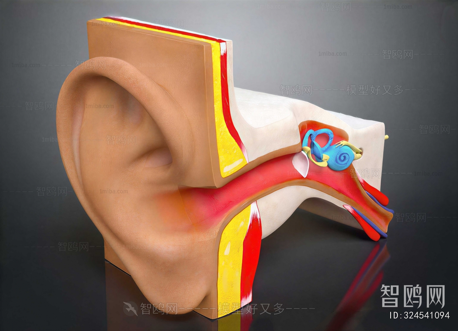 Modern Medical Equipment