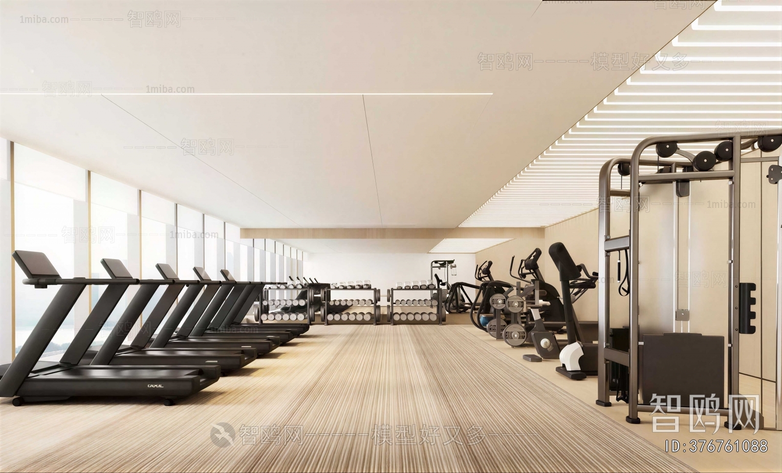 Modern Gym