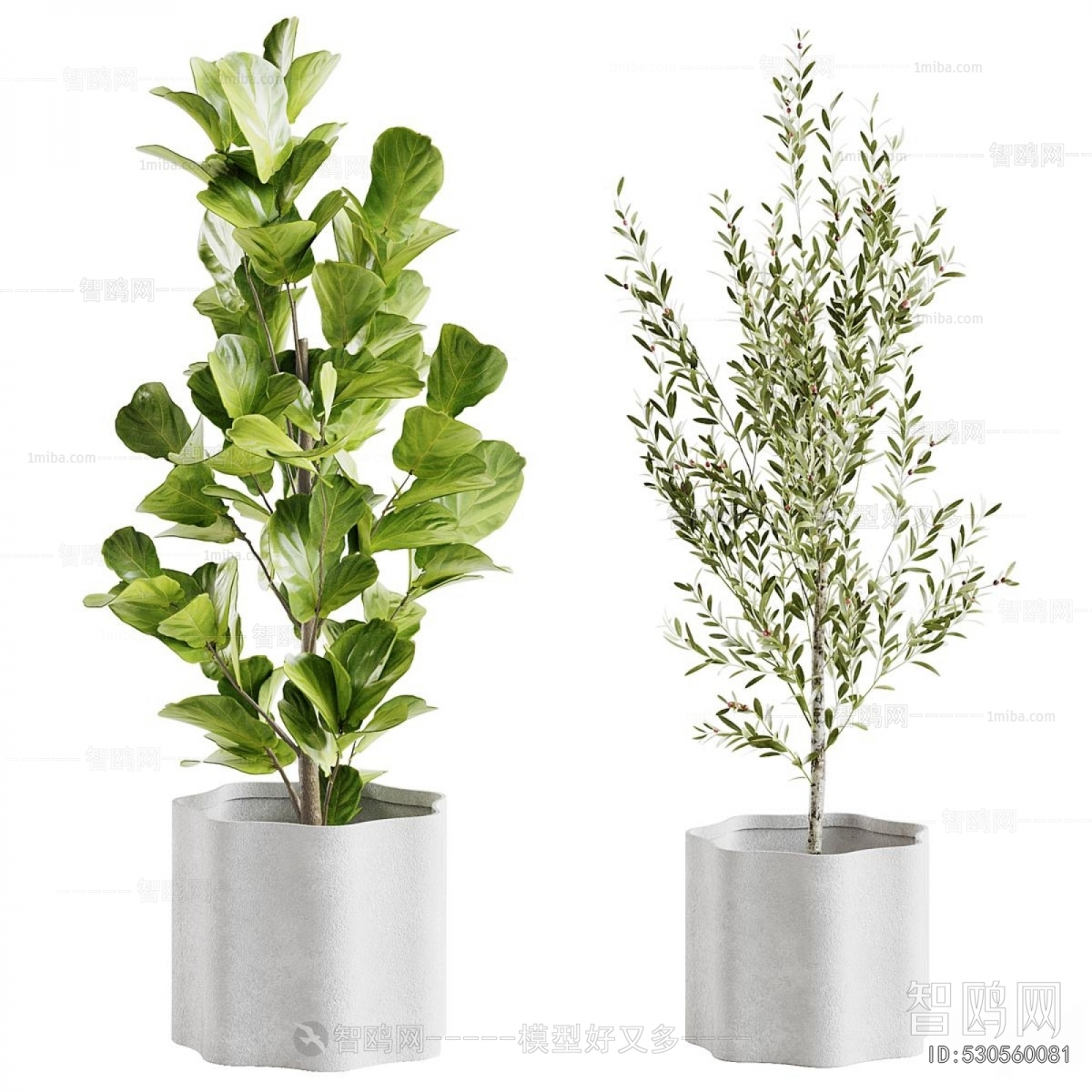 Modern Ground Green Plant Potted Plants
