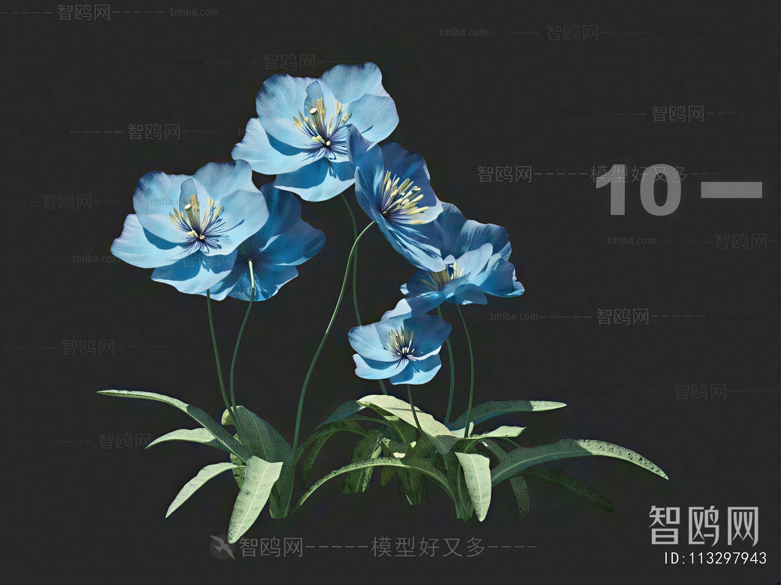Modern Flowers