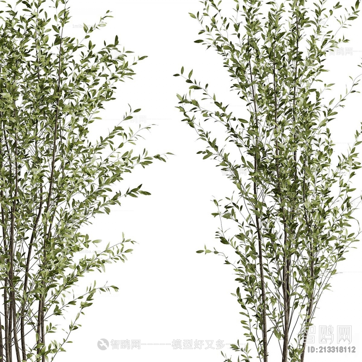 Modern Ground Green Plant Potted Plants