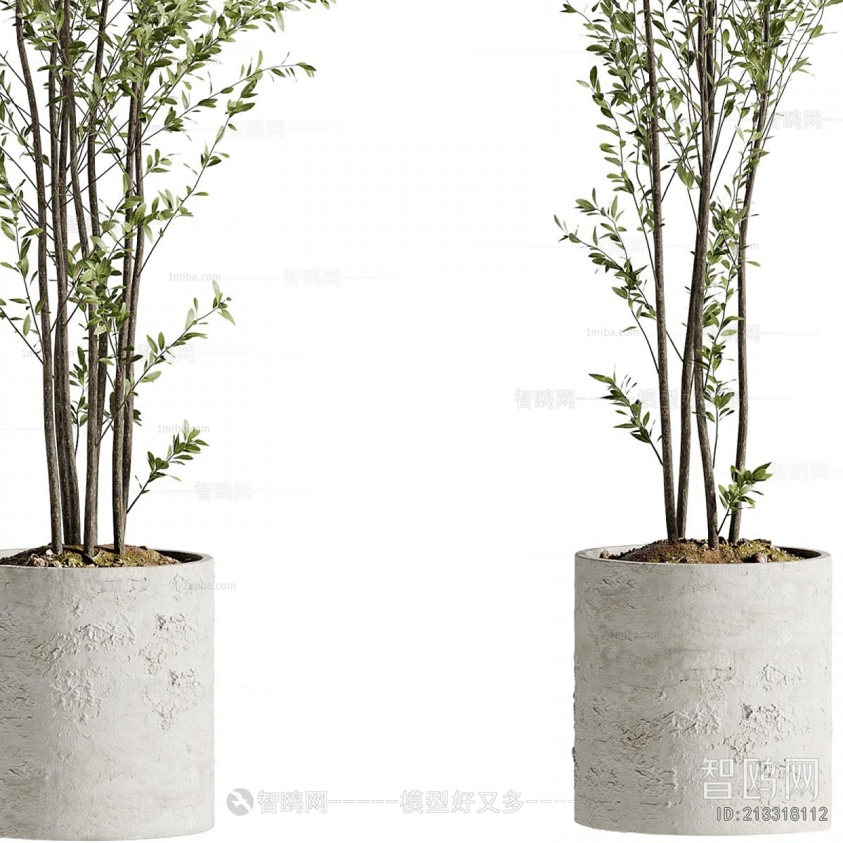 Modern Ground Green Plant Potted Plants
