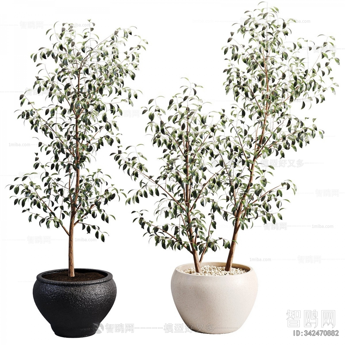 Modern Plant
