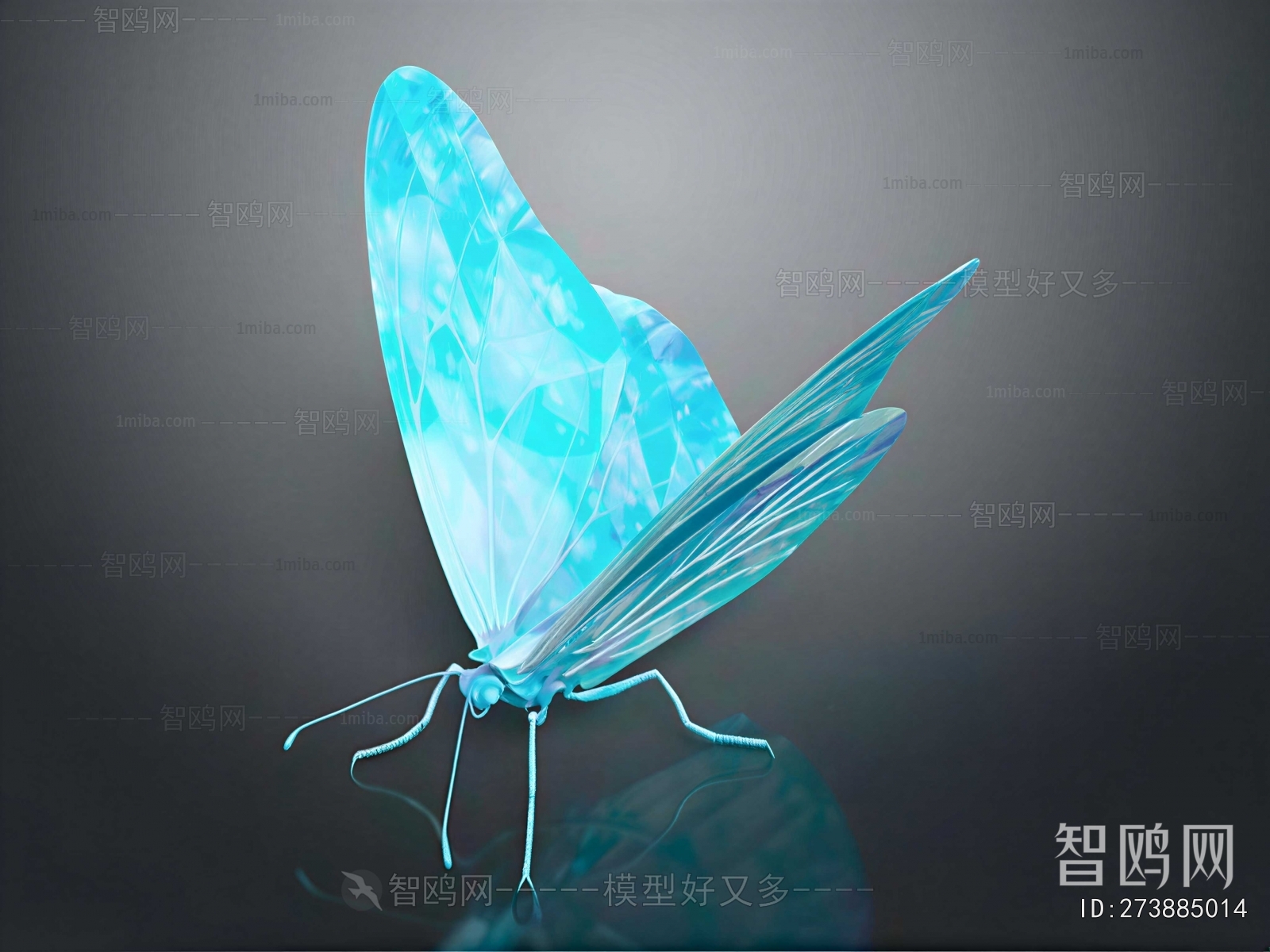 Modern Flying Animals