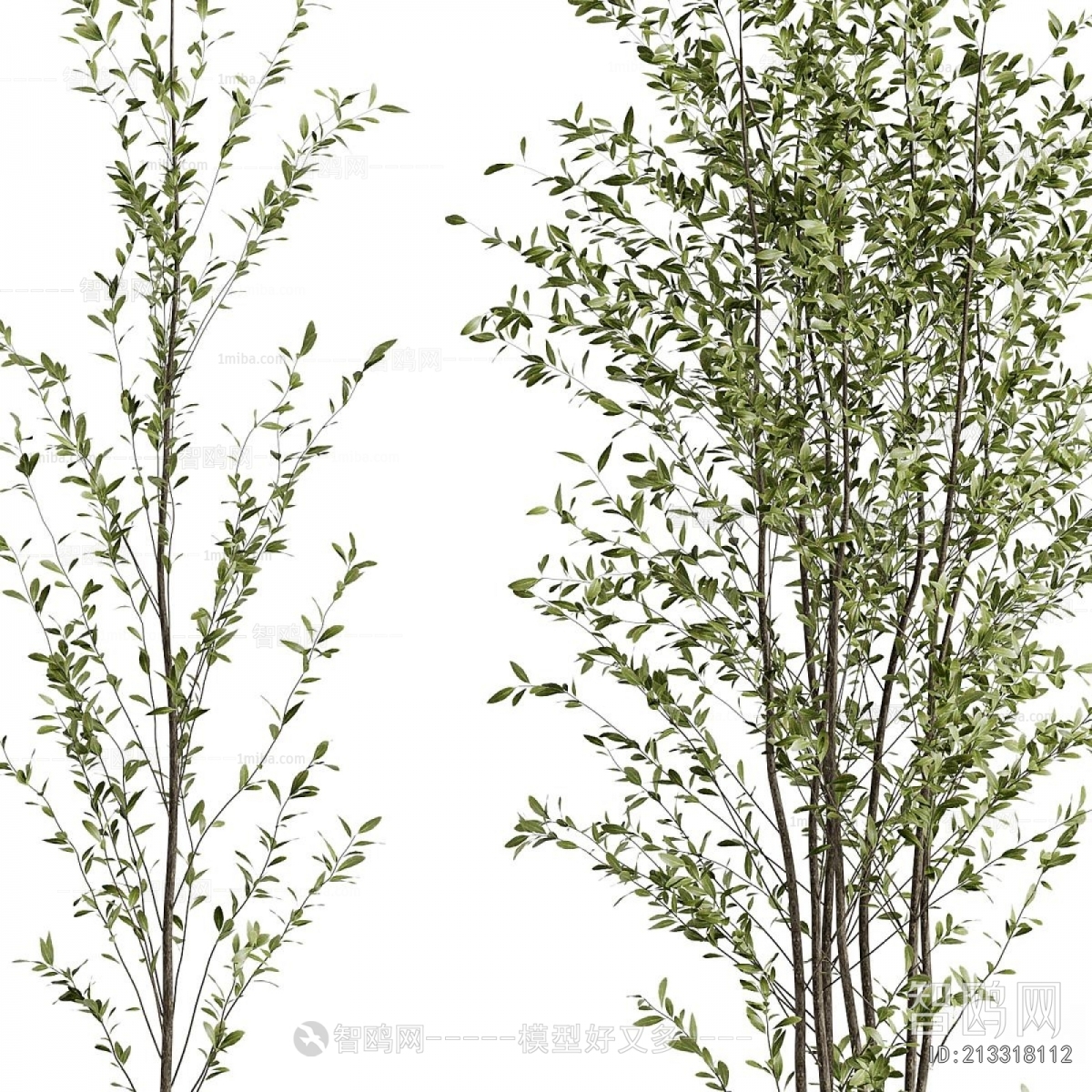 Modern Ground Green Plant Potted Plants