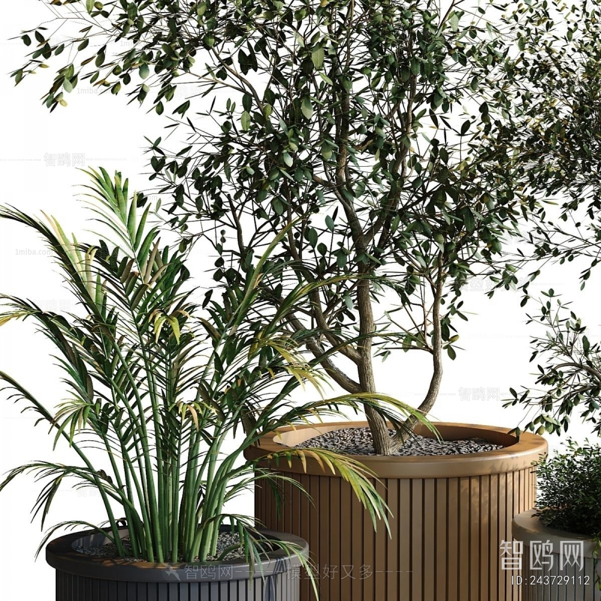 Modern Ground Green Plant Potted Plants