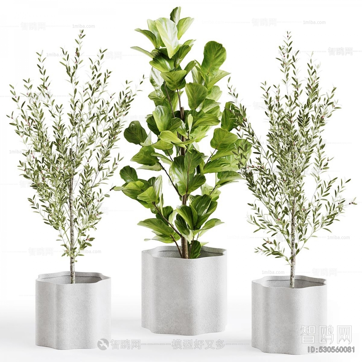 Modern Ground Green Plant Potted Plants