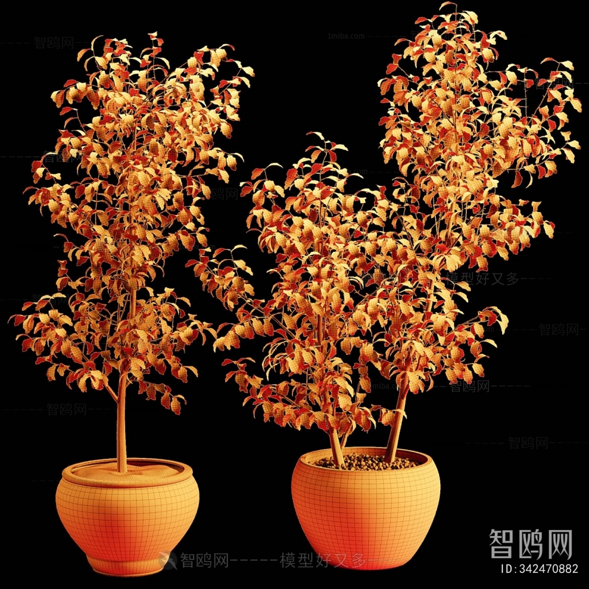 Modern Plant