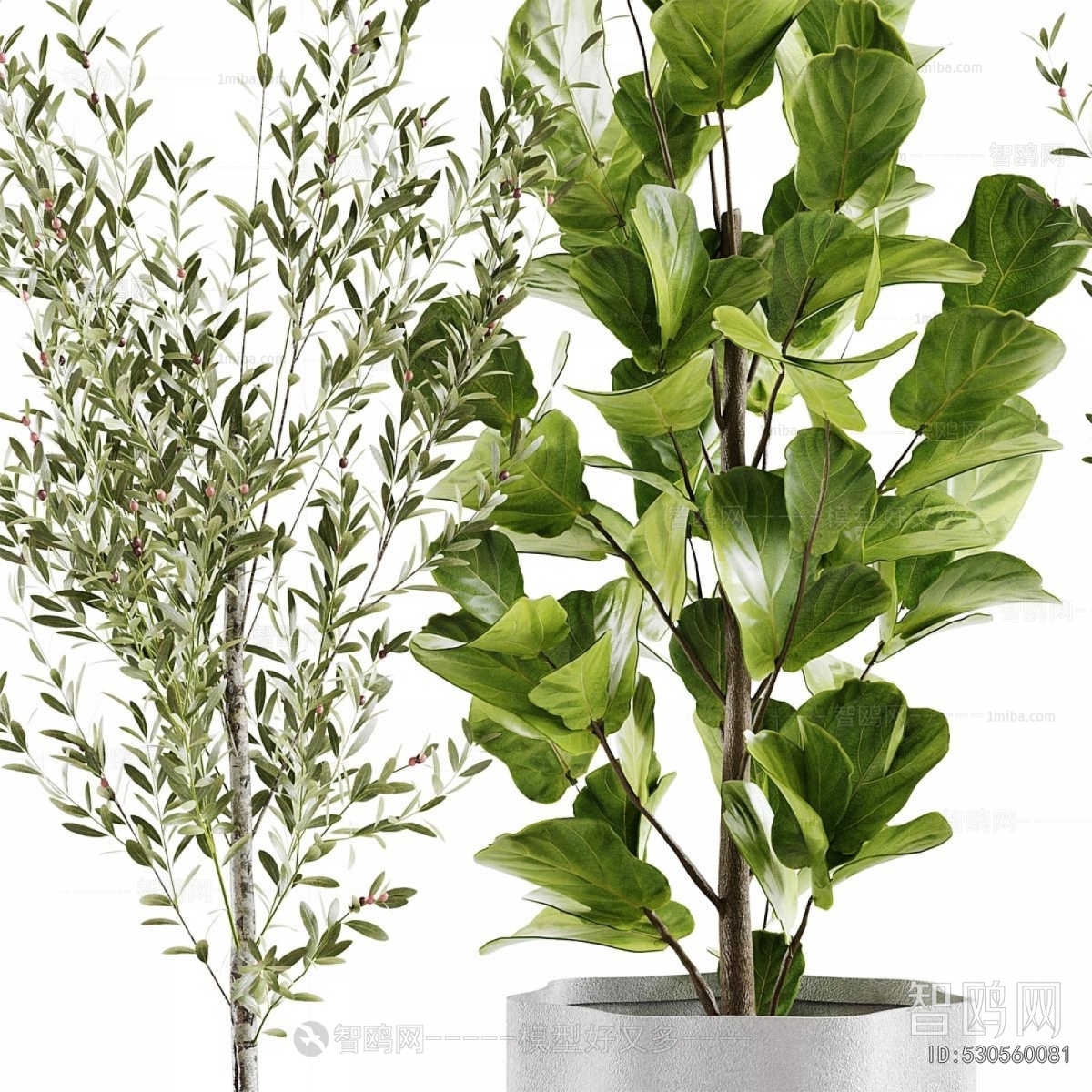 Modern Ground Green Plant Potted Plants