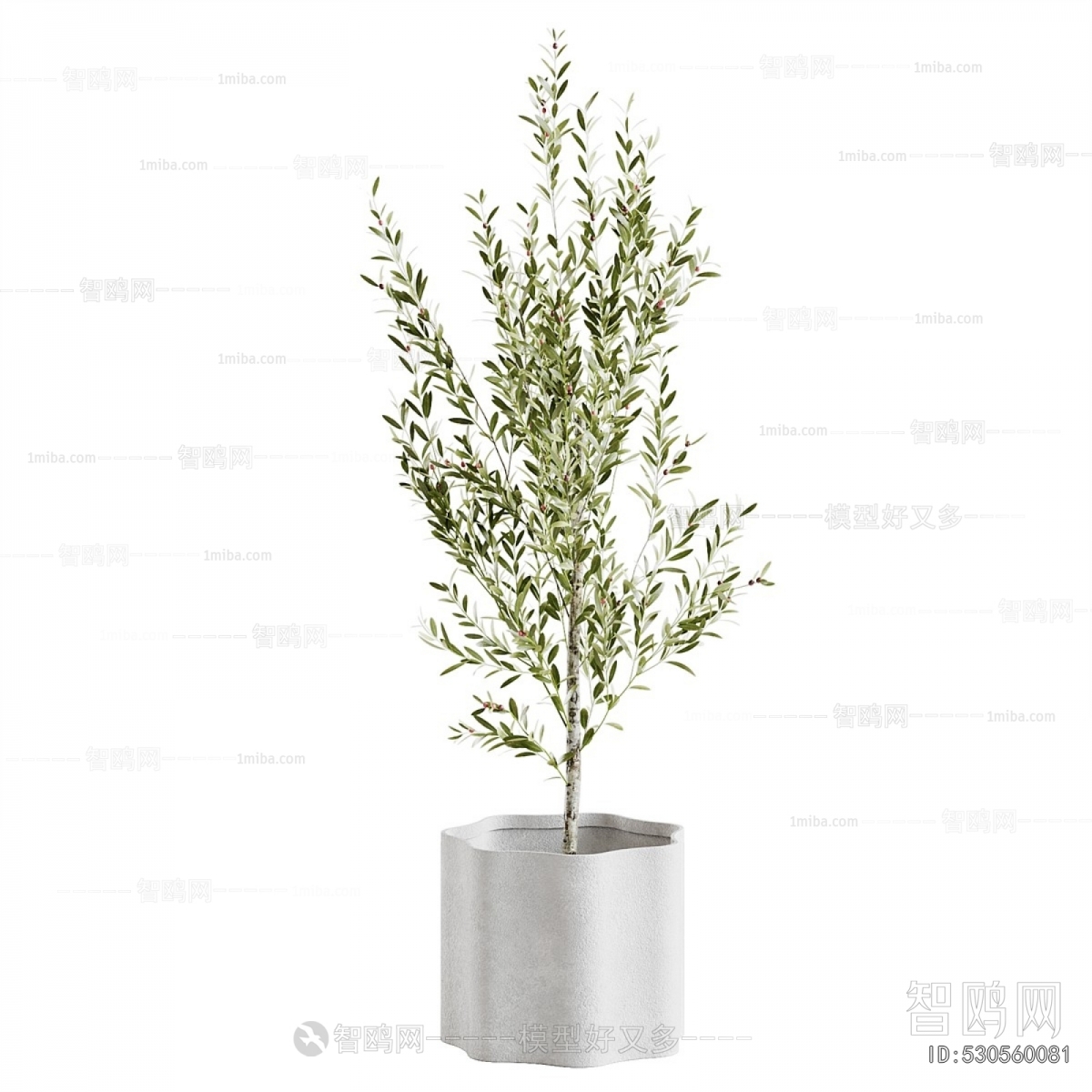 Modern Ground Green Plant Potted Plants