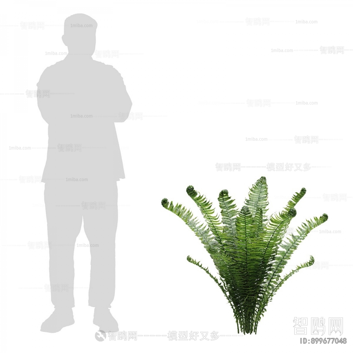 Modern Shrubbery
