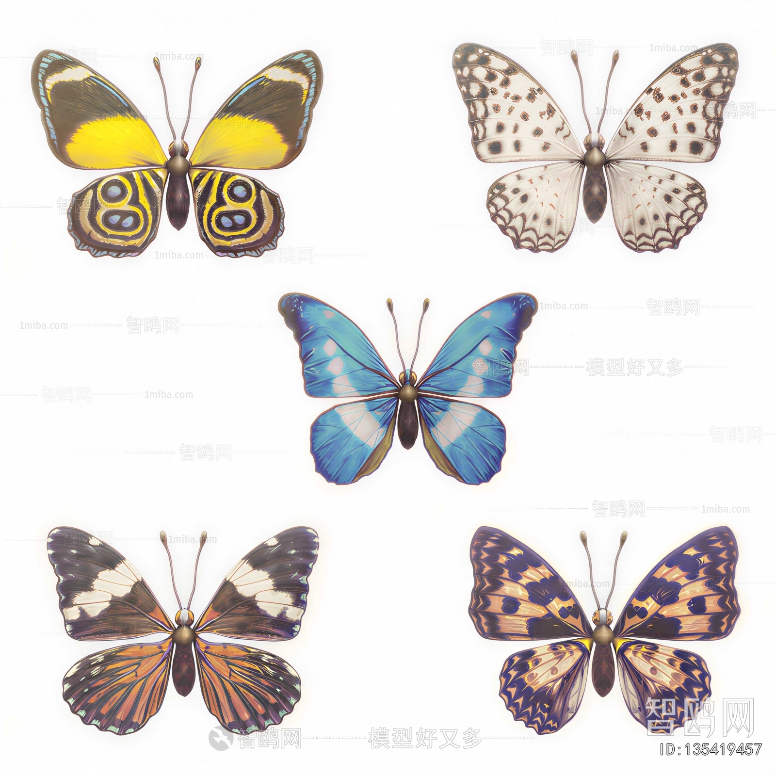 Modern Animal