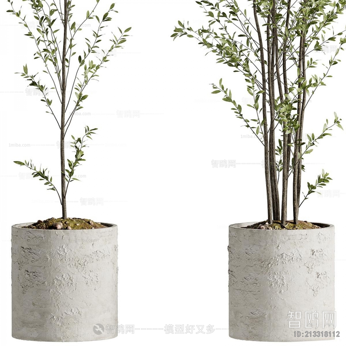 Modern Ground Green Plant Potted Plants