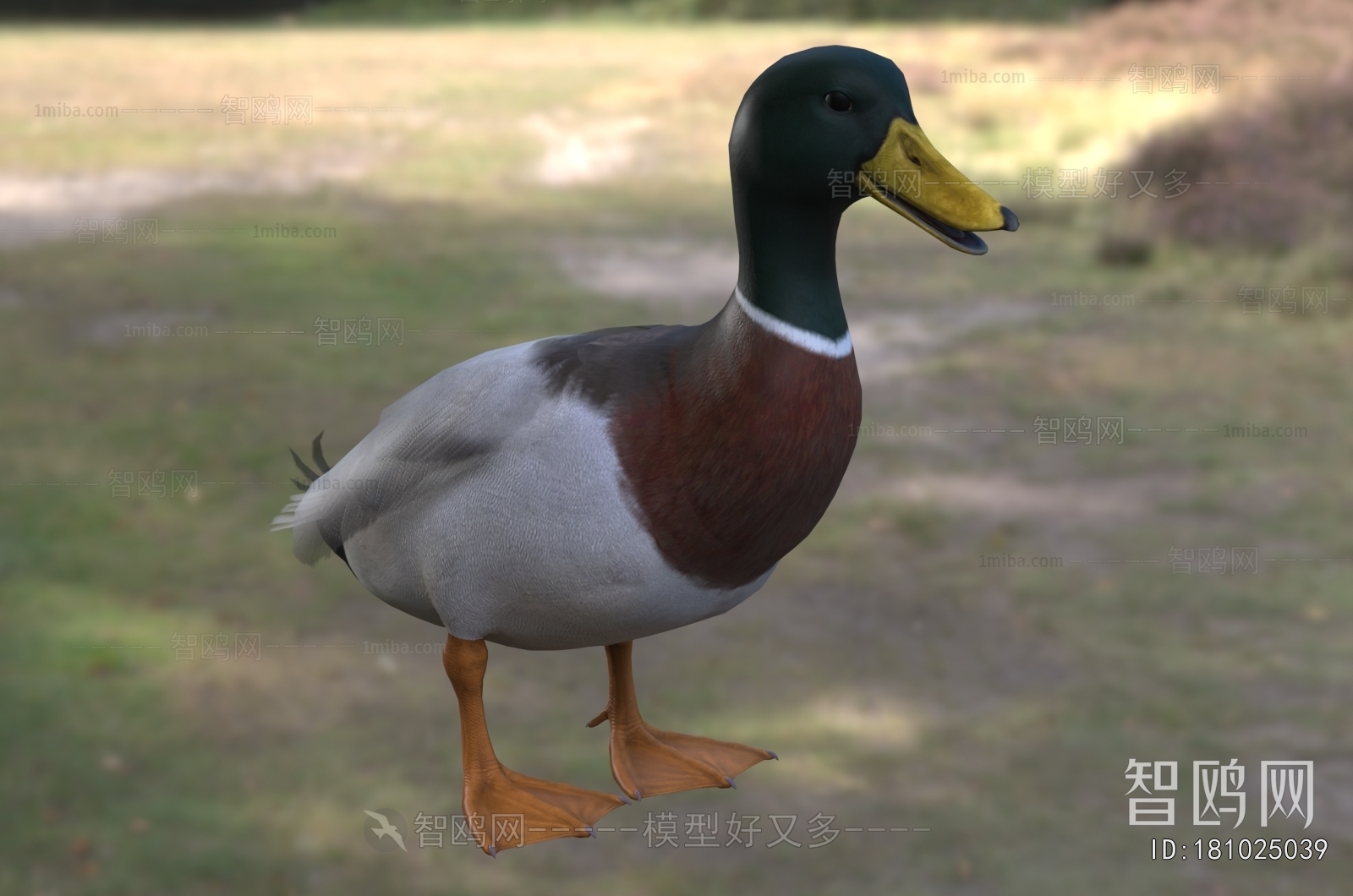 Modern Animal Duck
