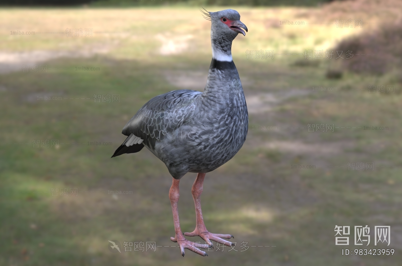 Modern Flying Animals