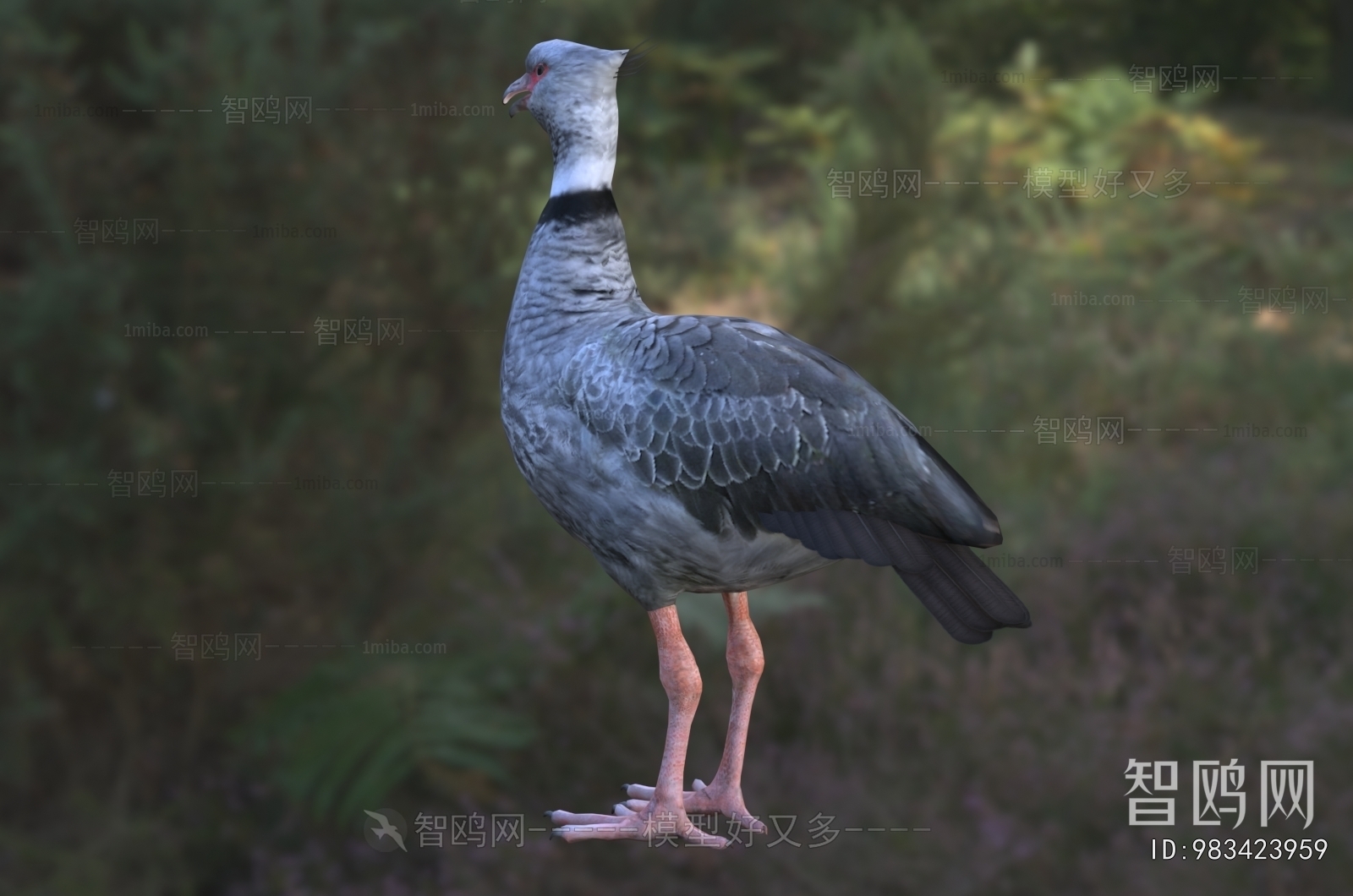 Modern Flying Animals