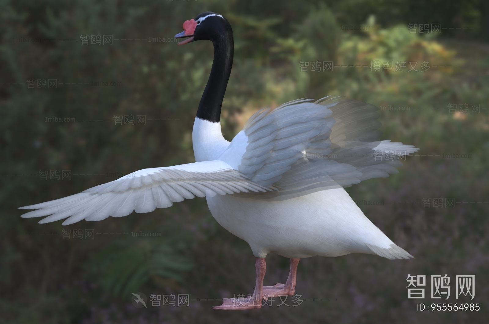 Modern Flying Animals