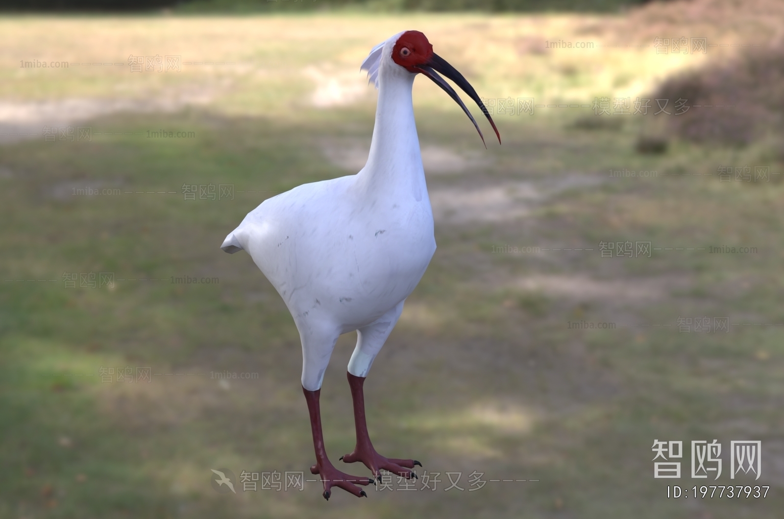 Modern Flying Animals