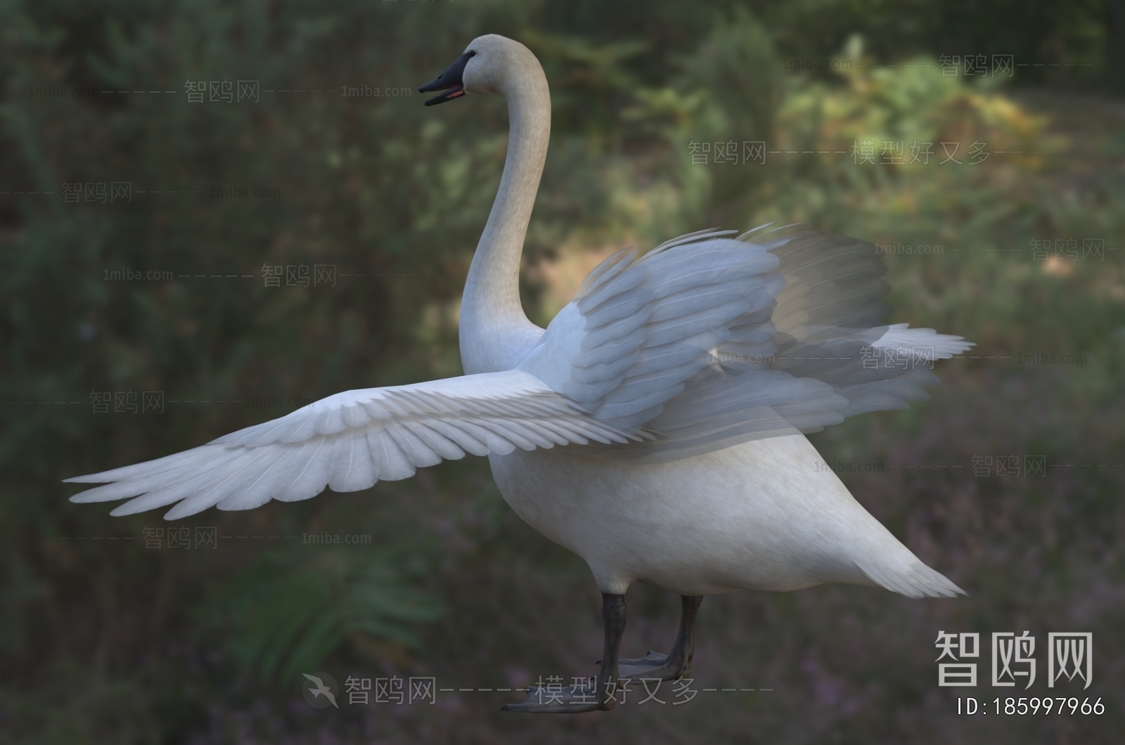 Modern Flying Animals