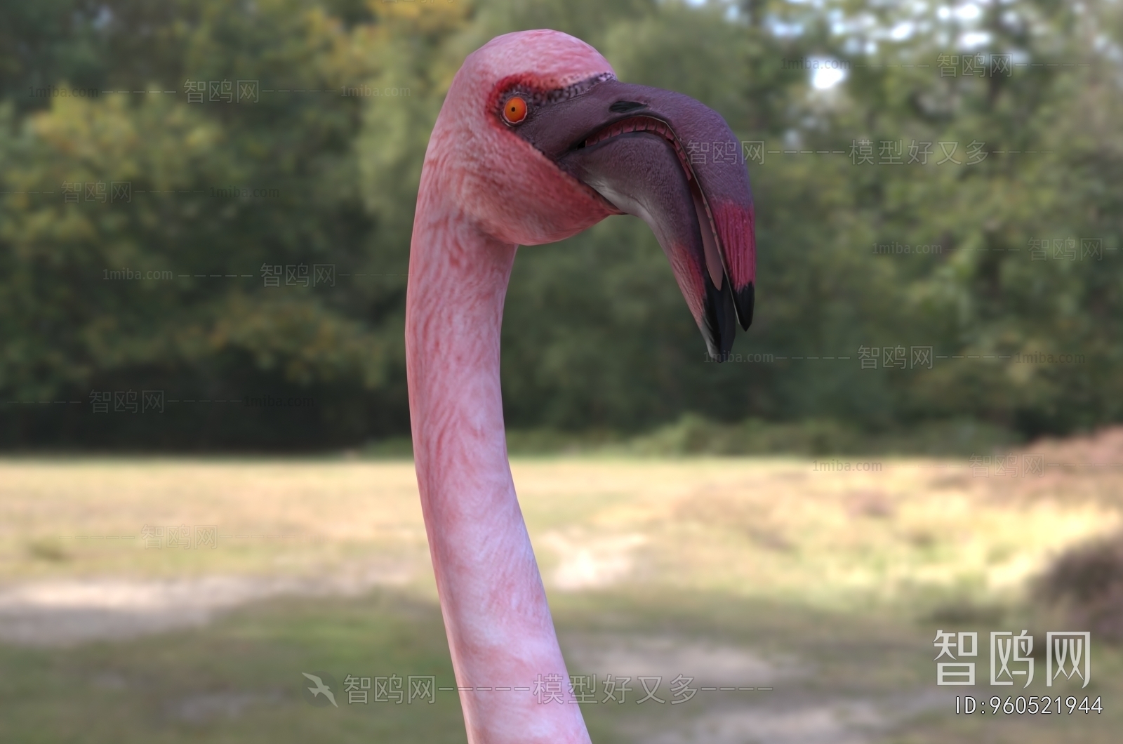 Modern Flying Animals