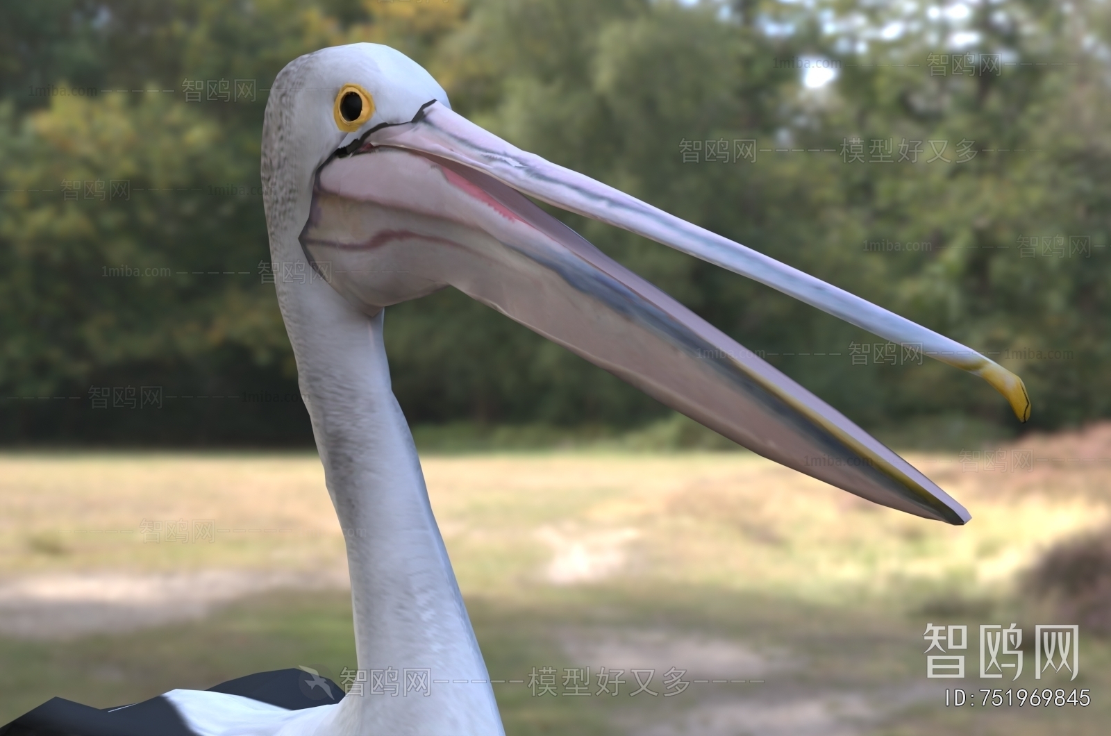Modern Flying Animals