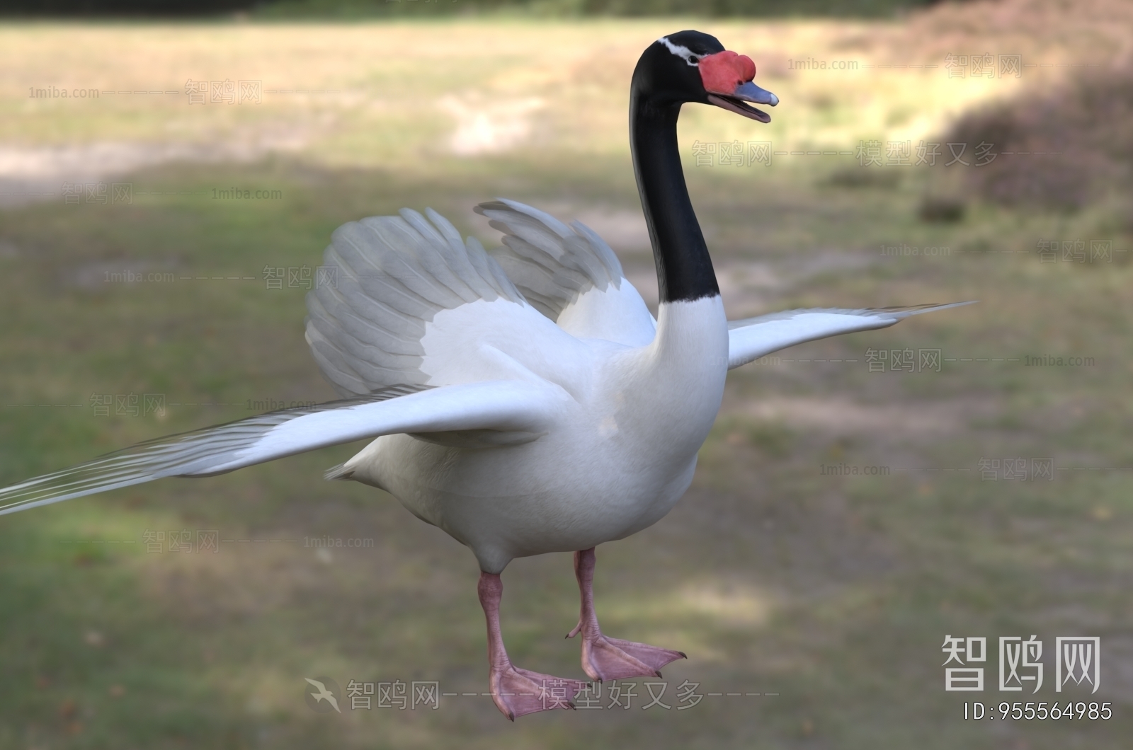Modern Flying Animals