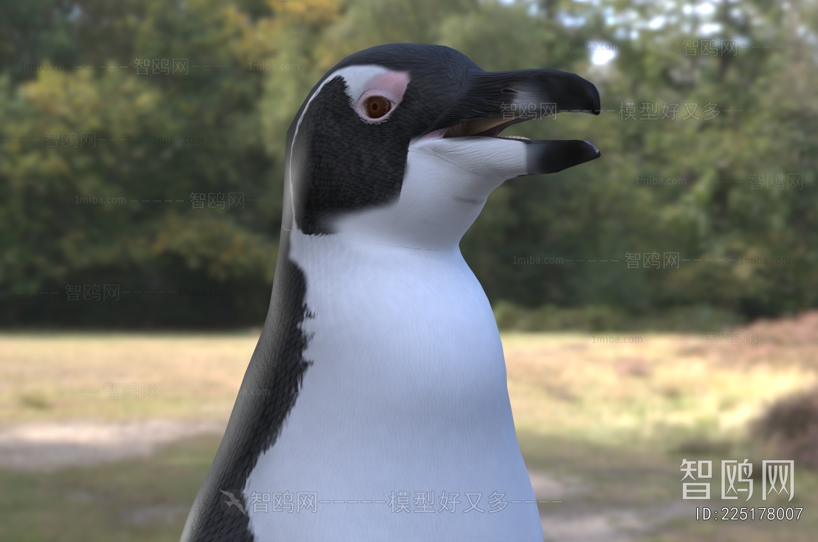 Modern Poultry Animal