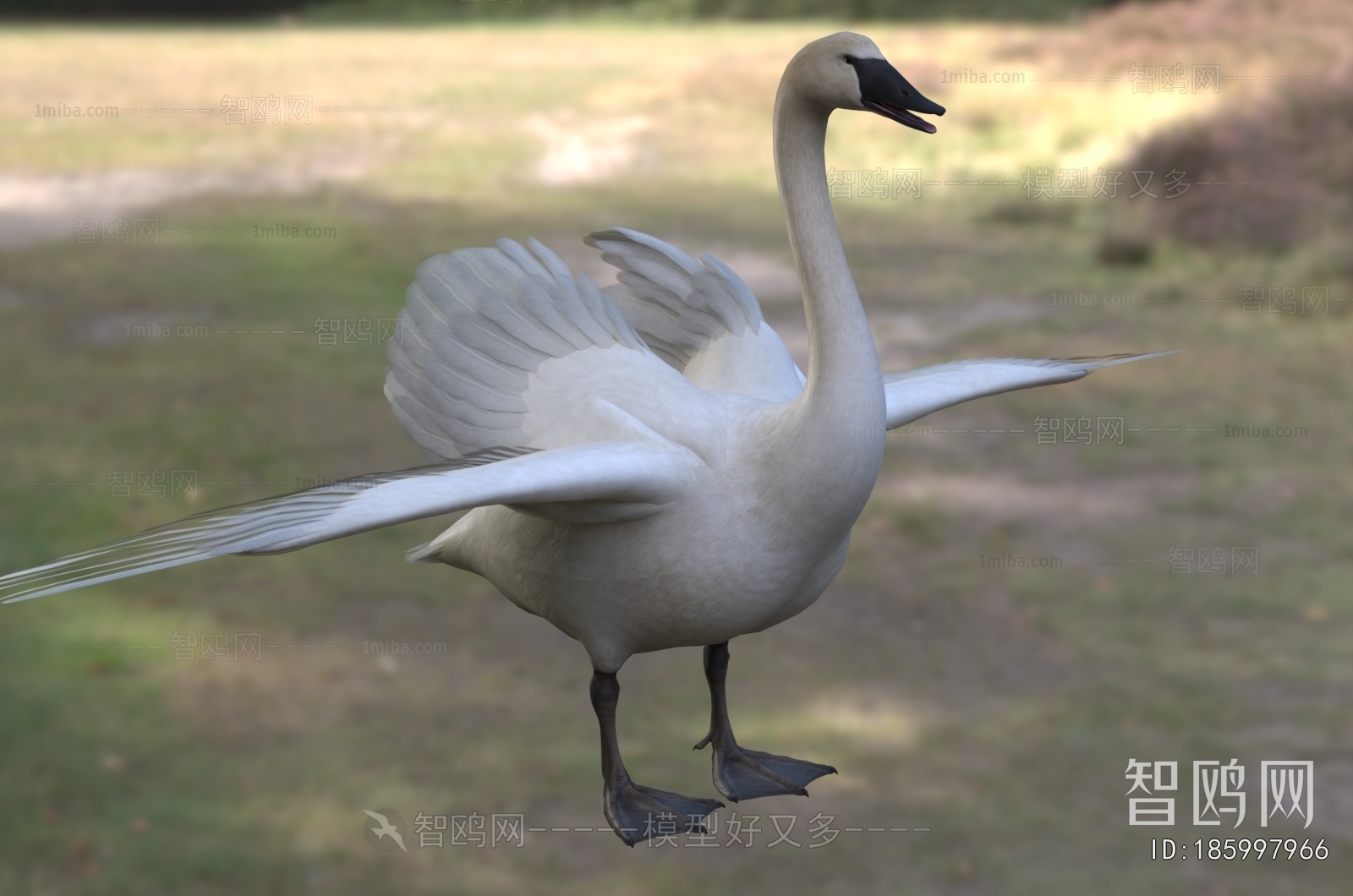 Modern Flying Animals