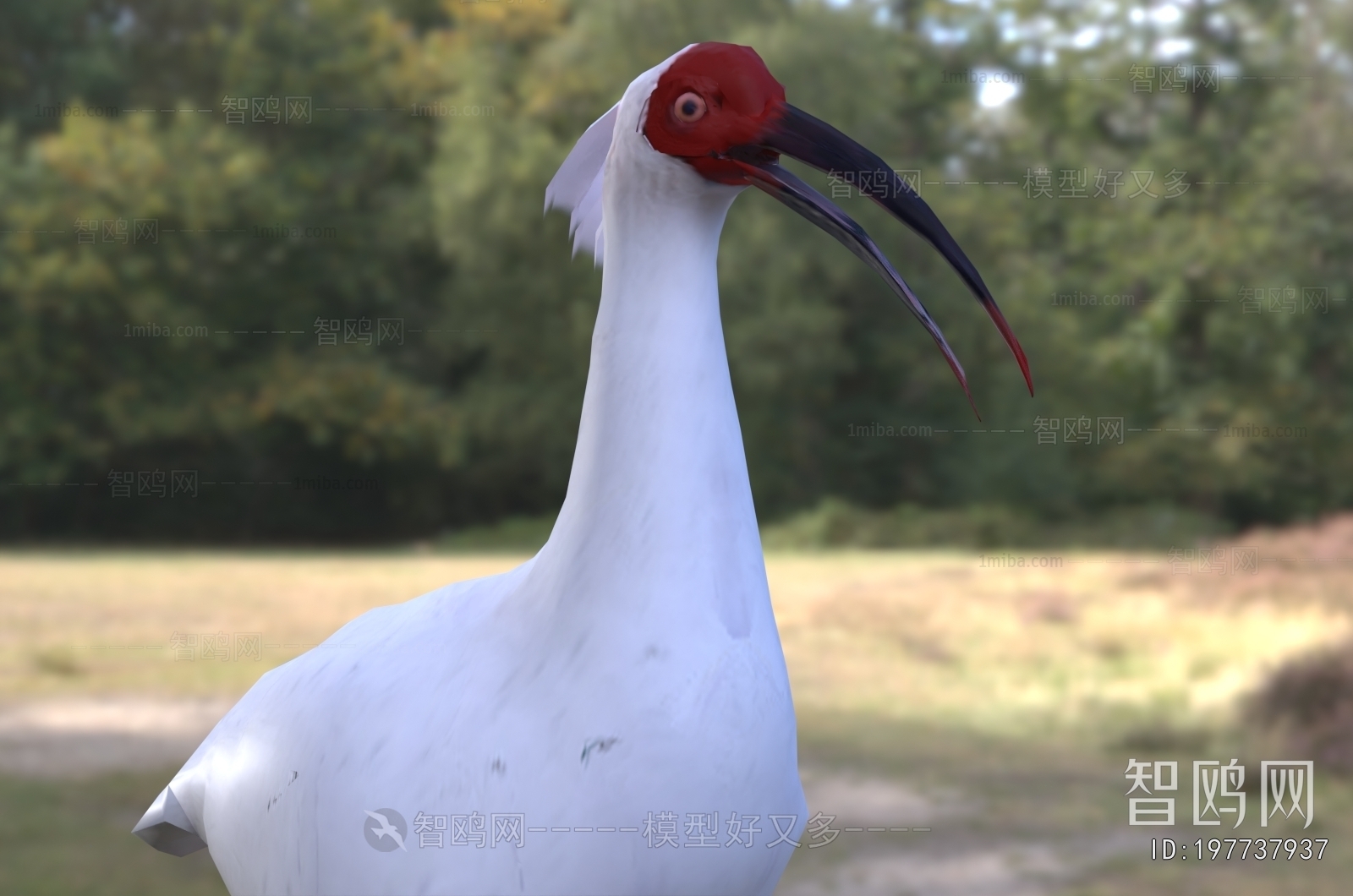 Modern Flying Animals