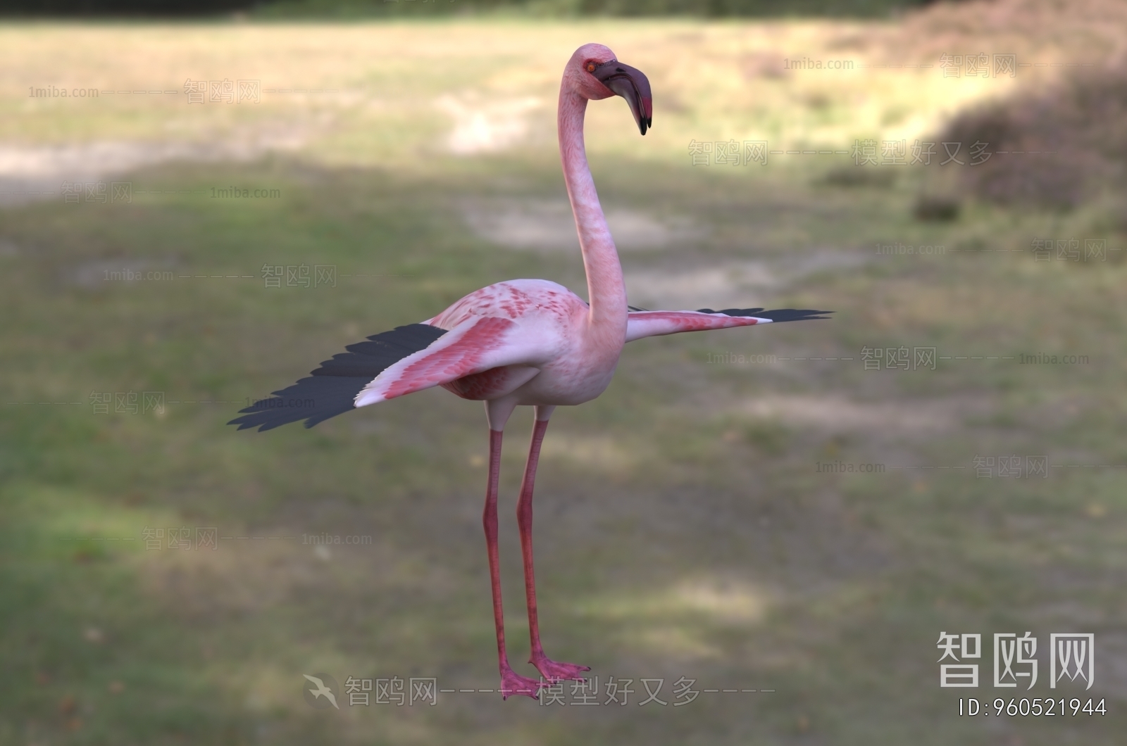 Modern Flying Animals