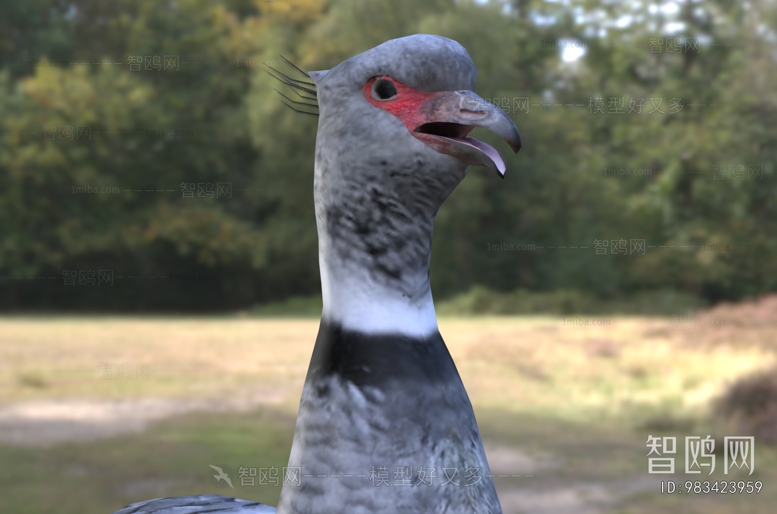 Modern Flying Animals