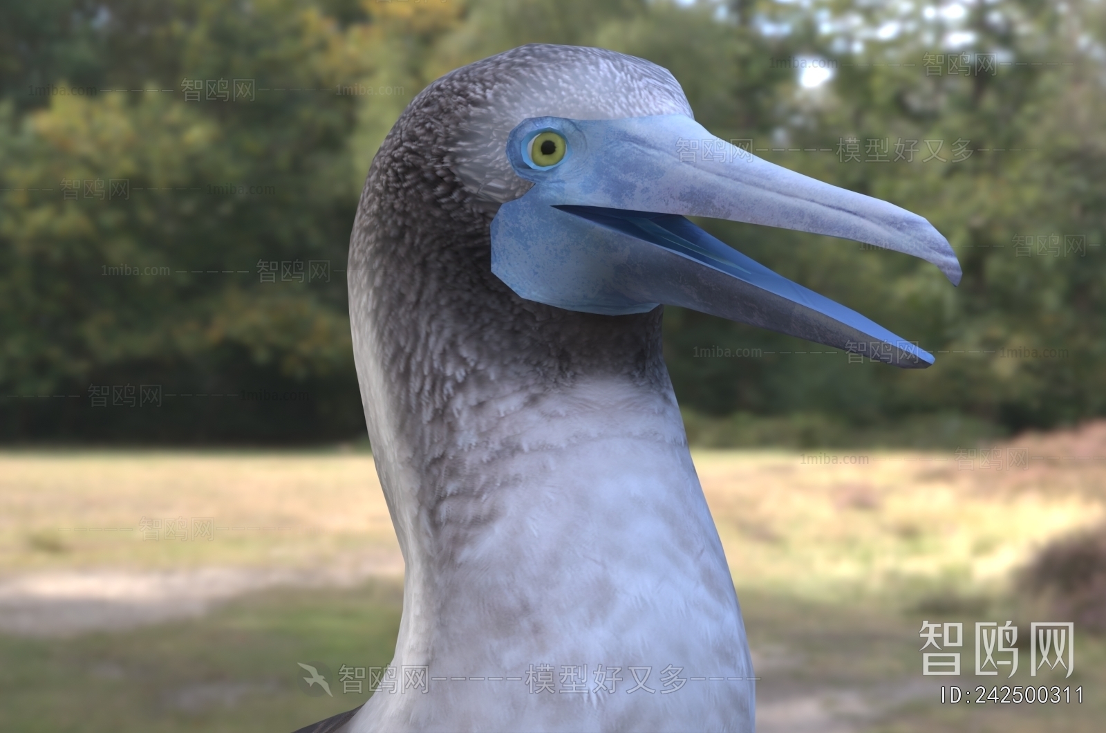Modern Poultry Animal