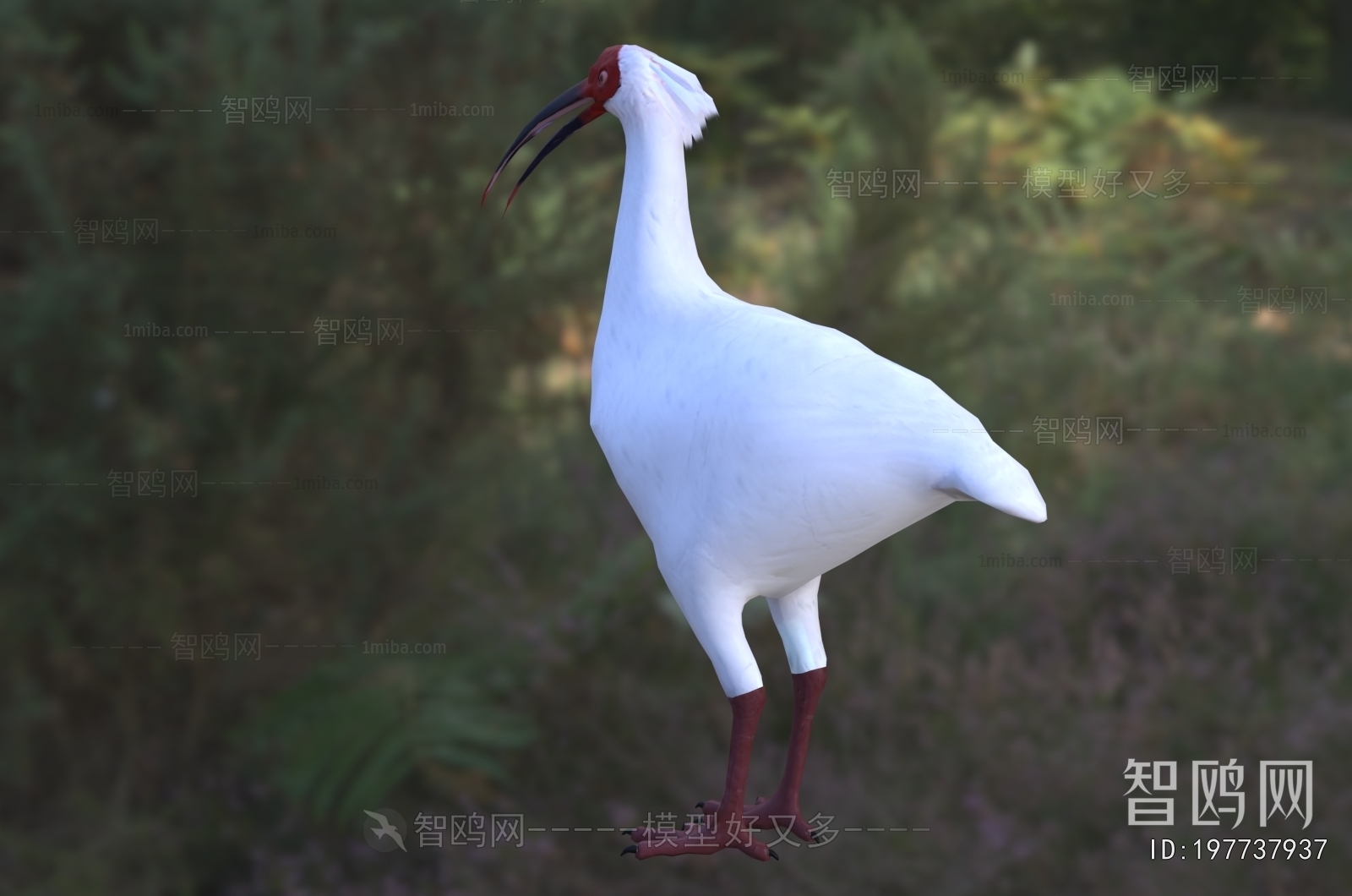 Modern Flying Animals