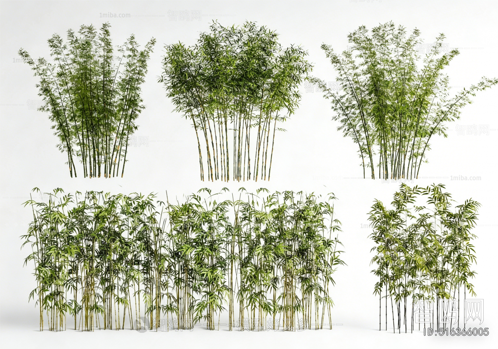 Modern Bamboo