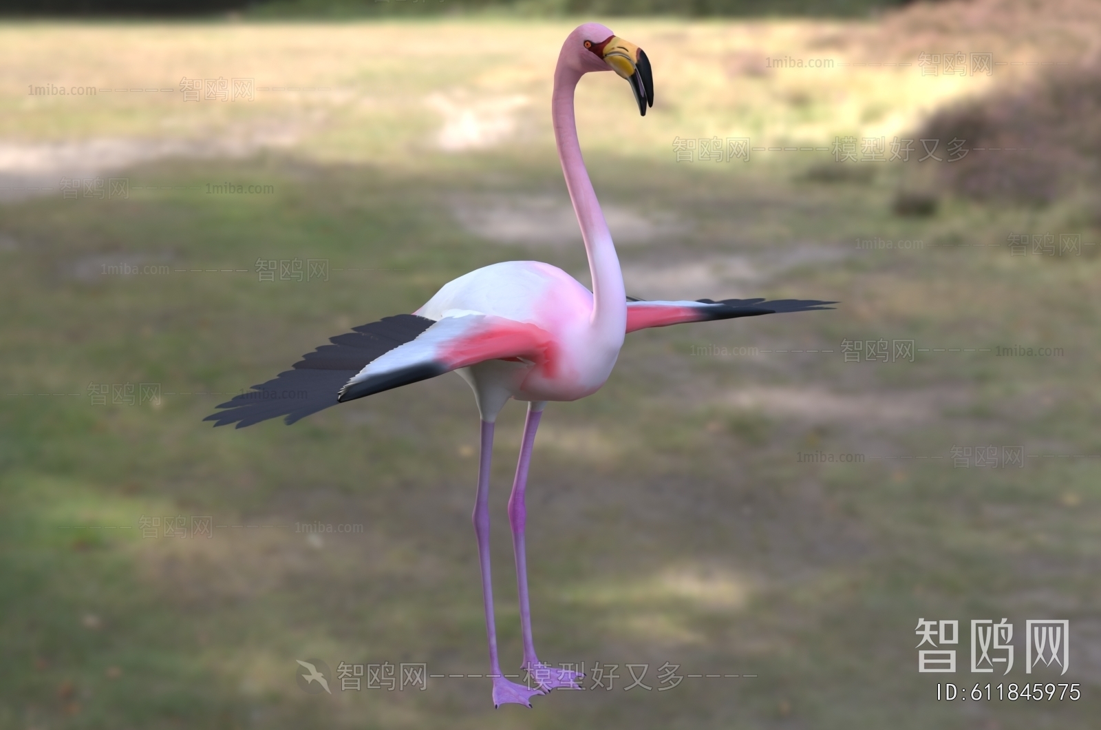 Modern Animal