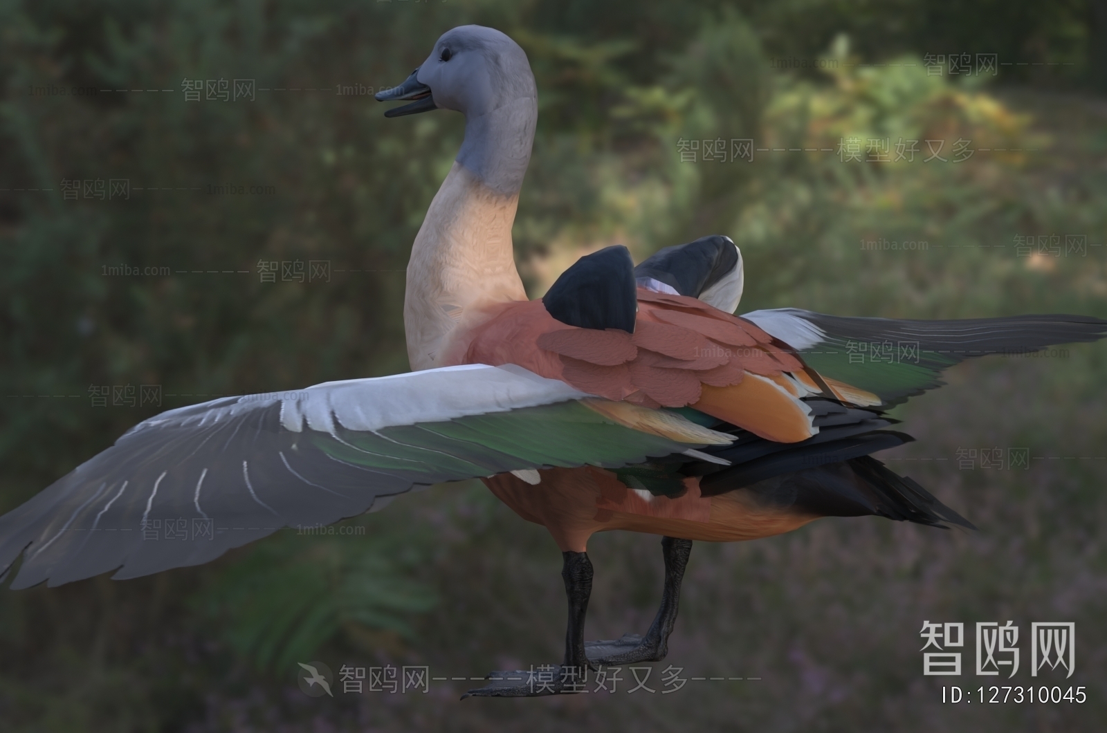 Modern Poultry Animal
